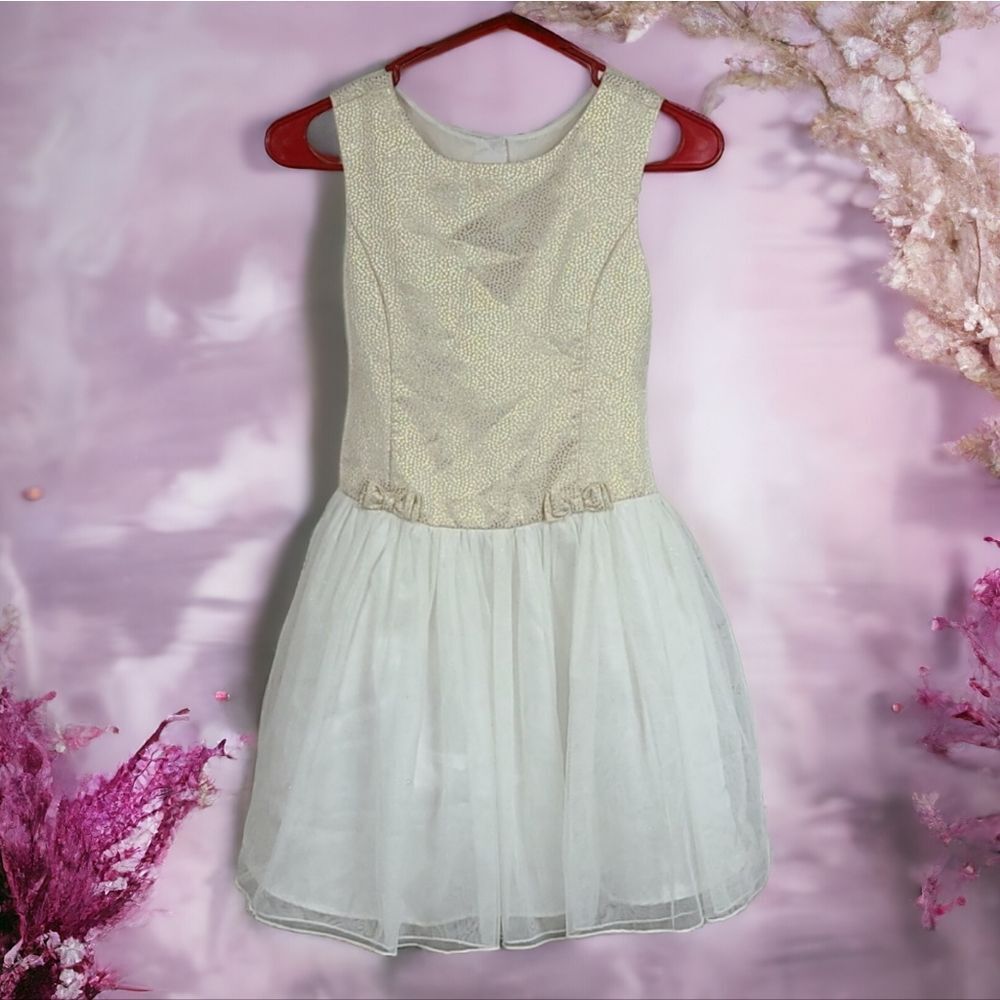 Jona Michelle Gold & White Fancy Dress Sleeveless Flower Girl Special Occasion 8